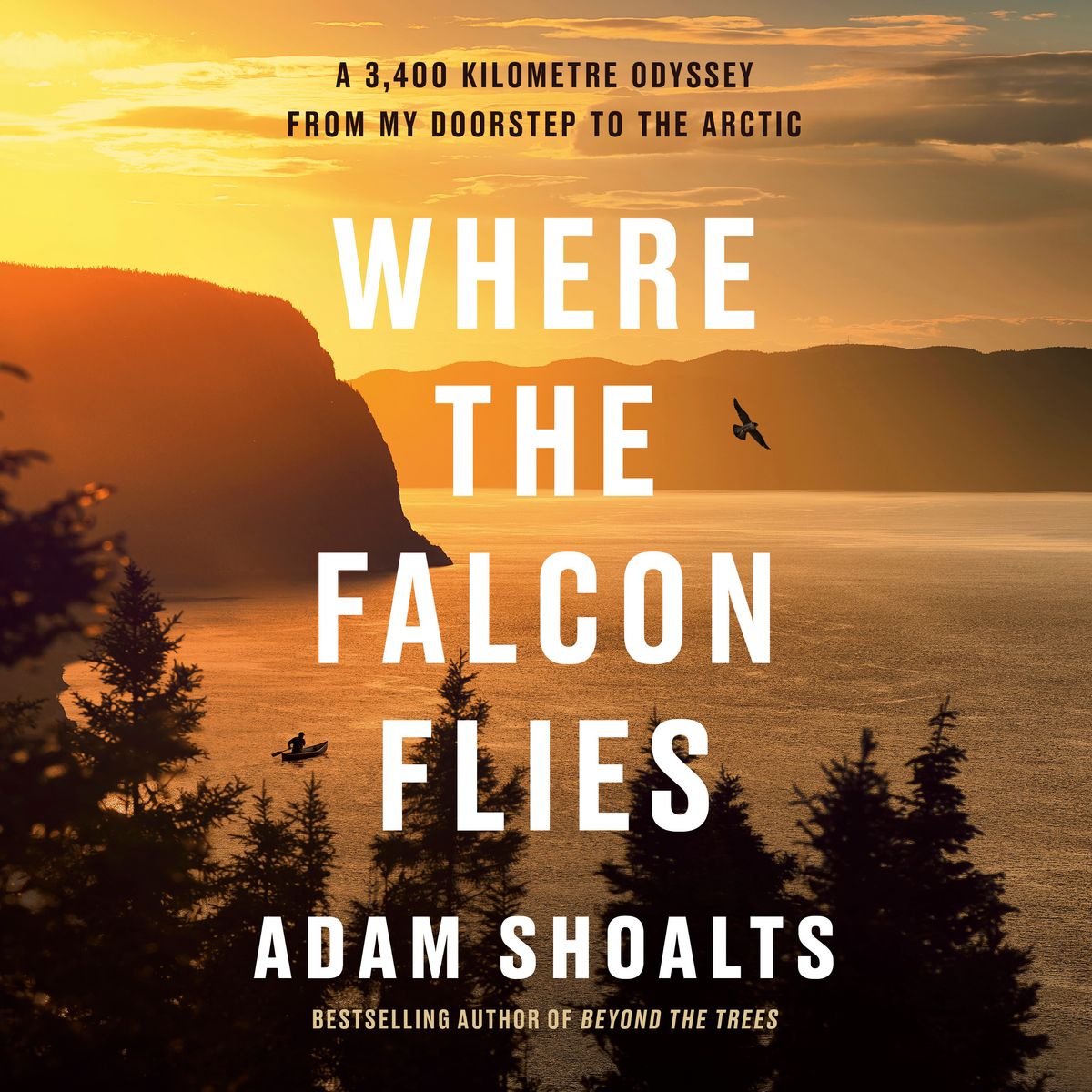 where the falcon flies